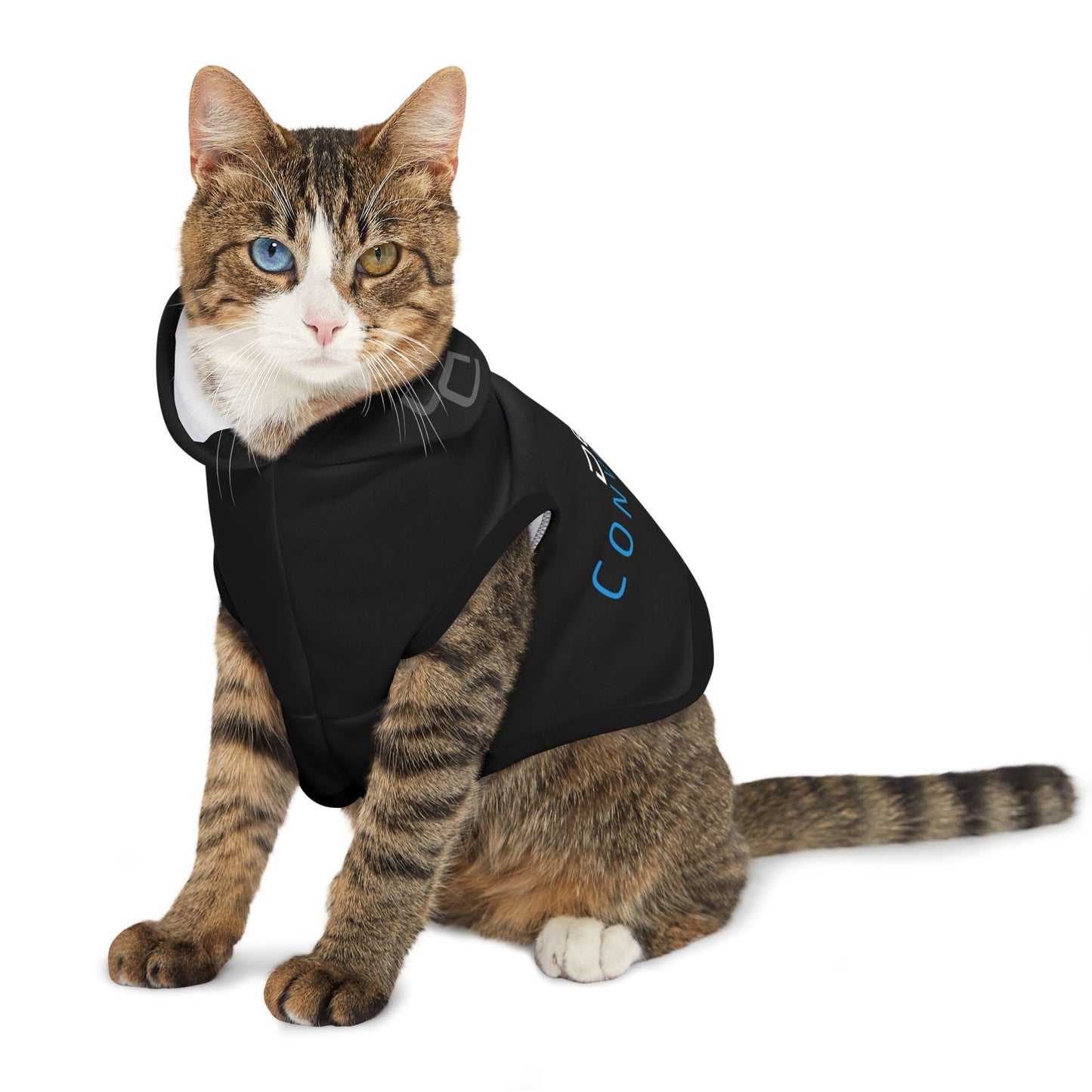 Pet Hoodie DEFi Convention Pet Hoodie